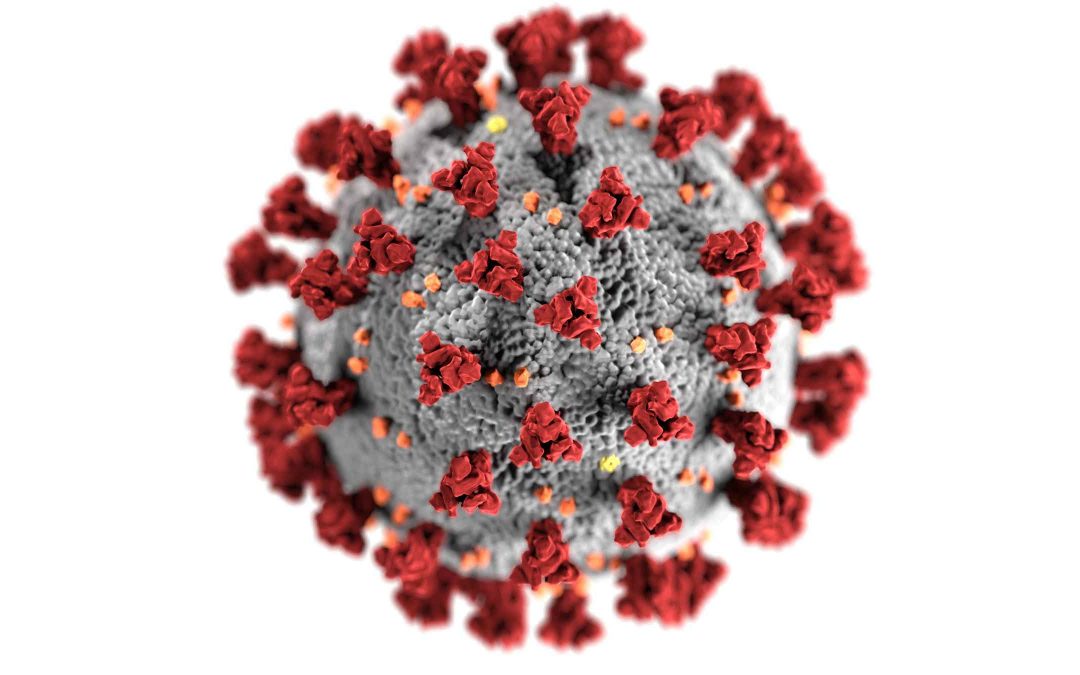 Rhetoric of Panic – Start of the Epidemia
