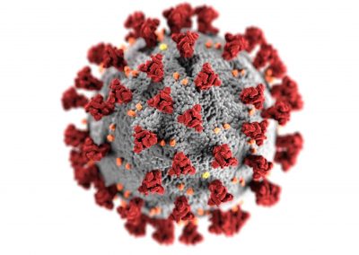 Rhetoric of Panic – Start of the Epidemia