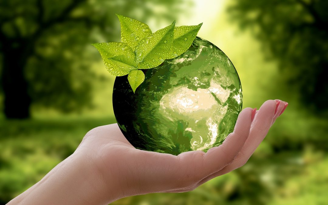 Greta Thurnberg – A New Ecospeak