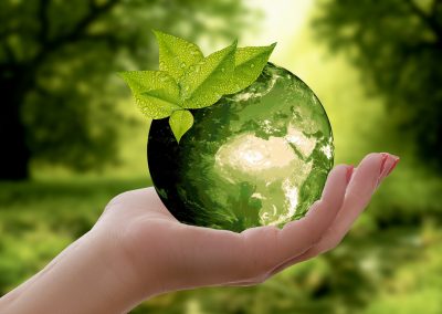 Greta Thurnberg – A New Ecospeak